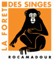 La Forêt des singes