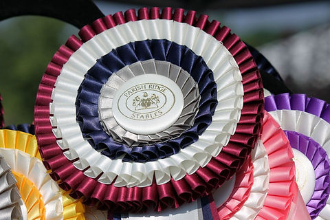 P R ROSETTE.jpeg