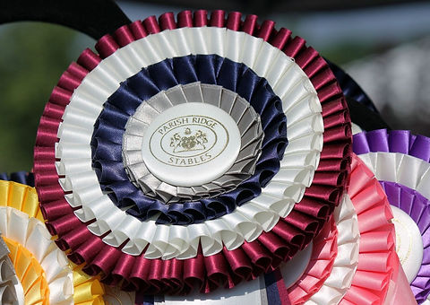 P R ROSETTE.jpeg