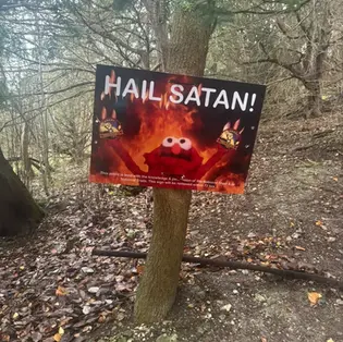 Copthorne Races 100 mile 2025