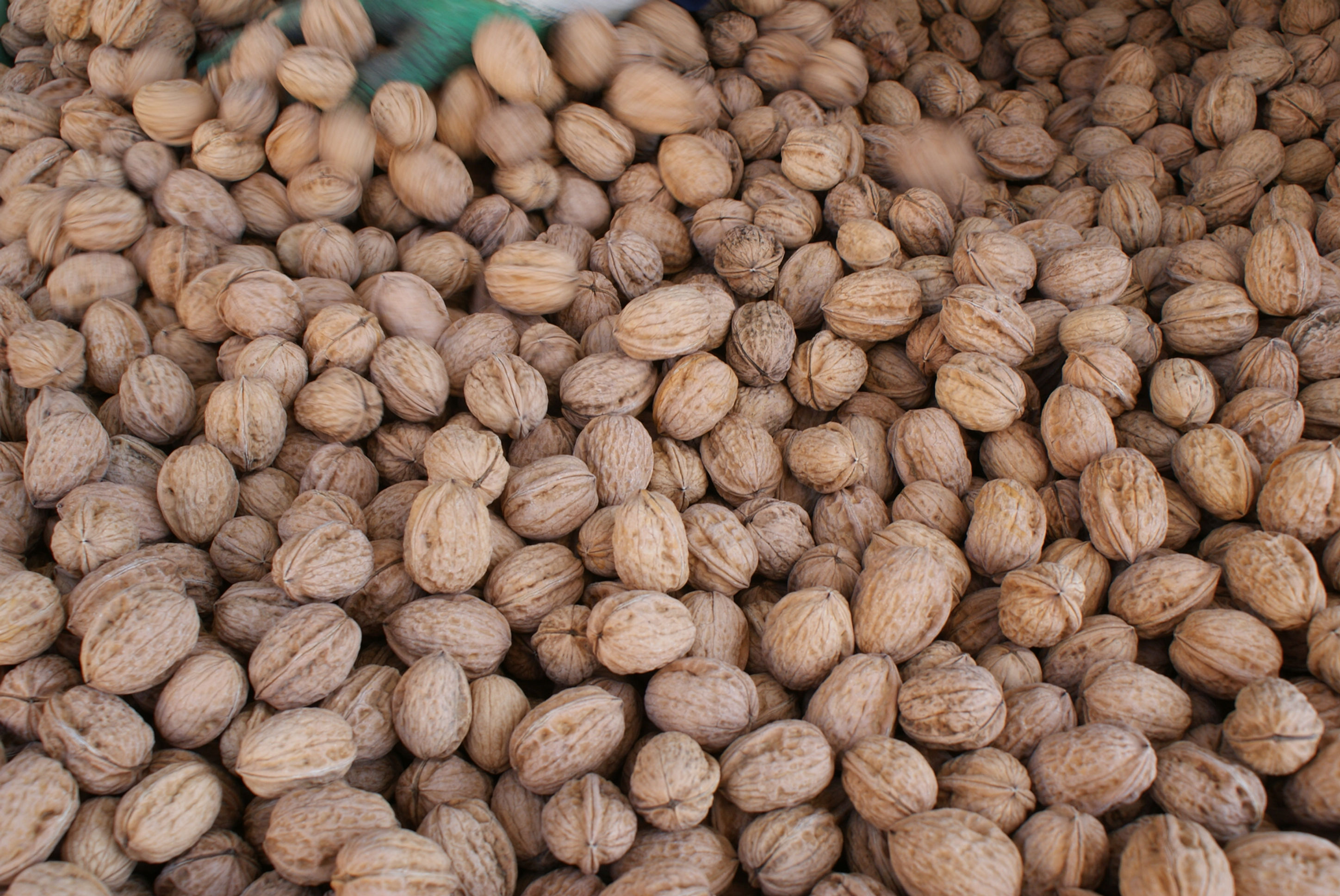 Noix de Grenoble AOP 5 kg RÉCOLTE 2025