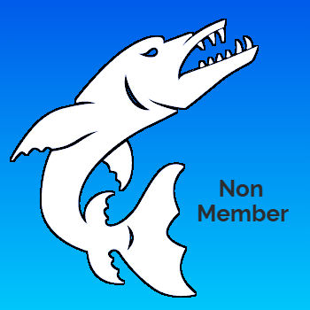 Swim Team (Non Member)