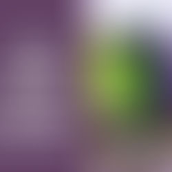 Que faire pendant les vacances scolaires ? Découvrez la brochure des activités proposées à Jemeppe-sur-Sambre