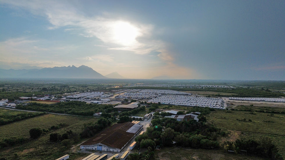 dji_fly_20260705_183008_17_1783356467820_photo_optimized(1).jpg