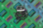 back_edited.jpg