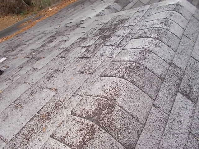 granule loss on shingles