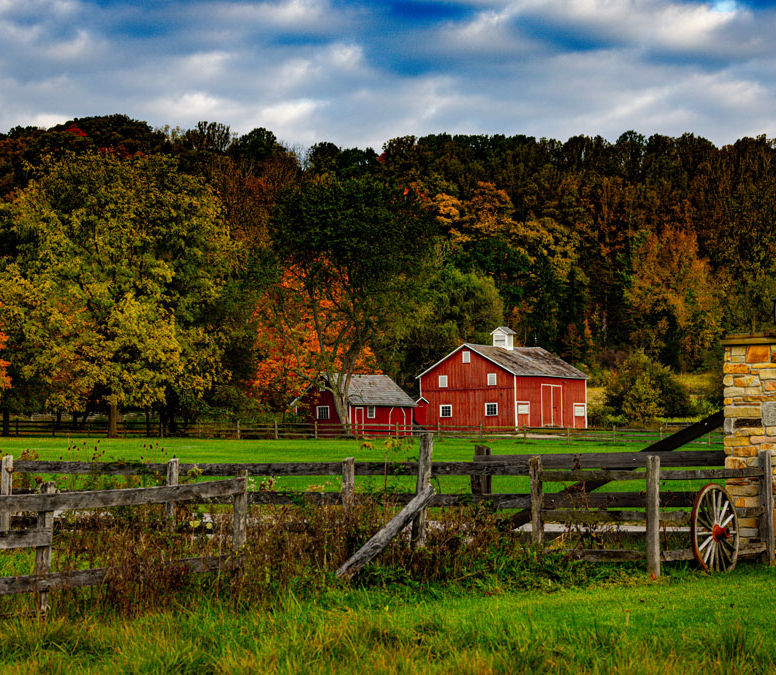 hale-farm-fallbanner.jpg
