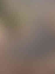 Damaged Roof Brunswick Ohio