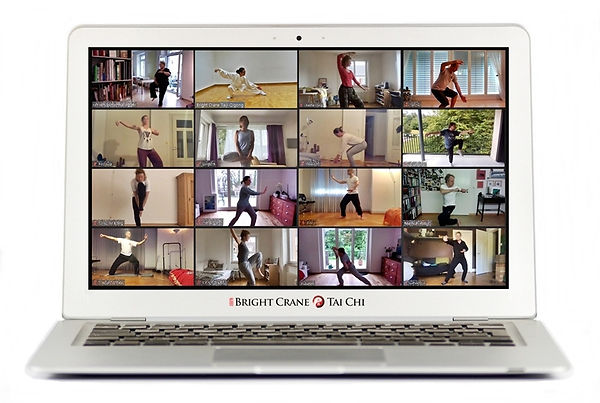 Tai Chi am Zürichsee: Gruppen-, Privatstunden, Firmenkurse & Lehrerausbildung