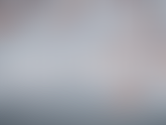 יסודות העבירה הפלילית