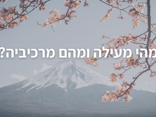 מהי מעילה ומהם מרכיביה?