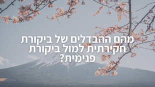 מהם ההבדלים של ביקורת חקירתית למול ביקורת פנימית?