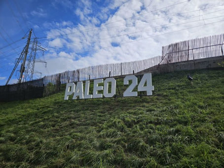 Paléo Festival 2024 is an Eclectic Soundscape in Nyon