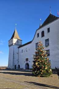 nyon castle with christmas tree