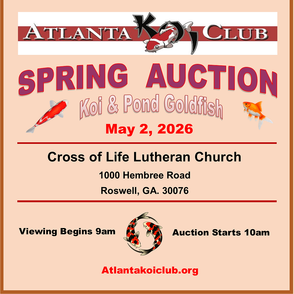 Atlanta Koi Club Spring Auction