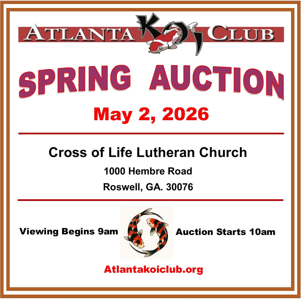 Atlanta Koi Club Spring Auction