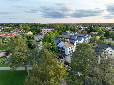 Rudbeck 3.jpg