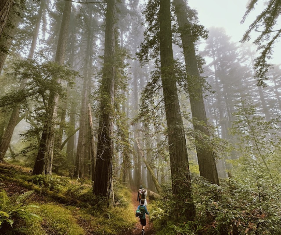 Recharge Your Travel: The Transformative Power of Outdoor Activities