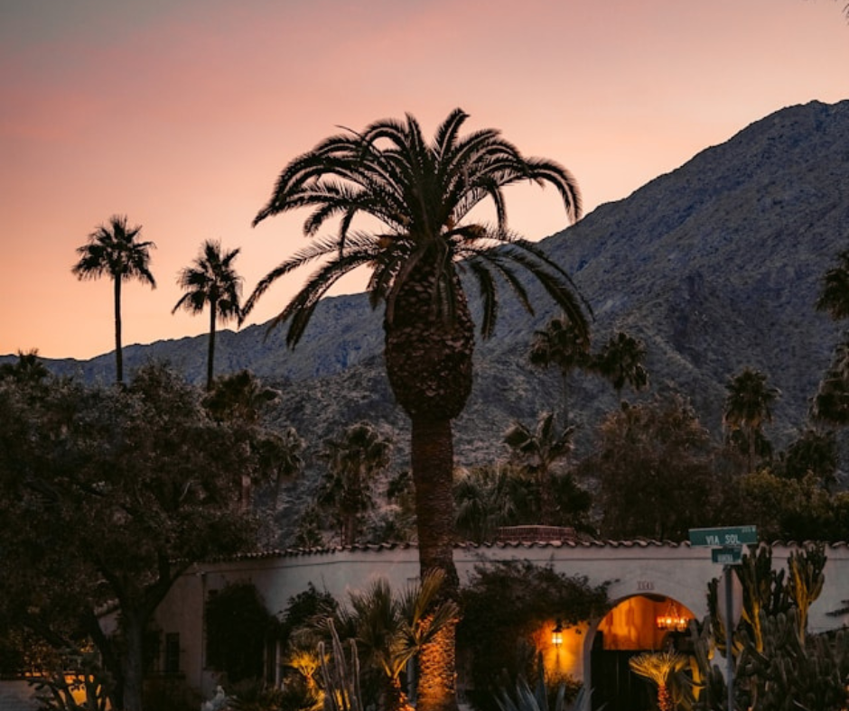 view-of-home-and-palm-trees-at-sunset-palm-springs