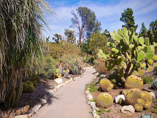 Five Wellness Travel Planning Tips To Consider For Your Next Vacation