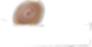 lumber-logo-white.png