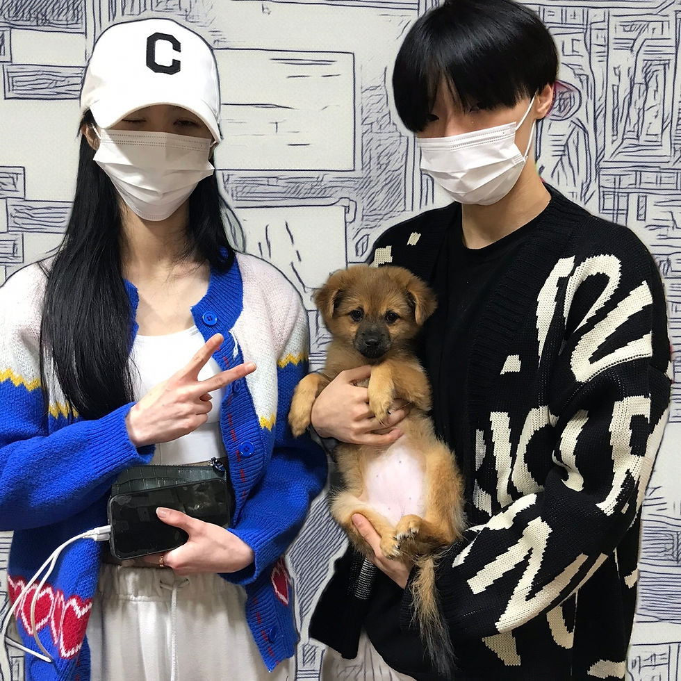 믹스견 분양_김**님