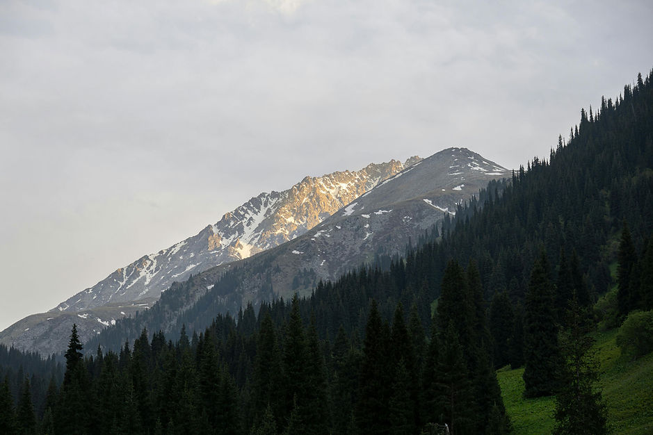 pexels-alexander-buzurnyuk-3828467-26065662.jpg
