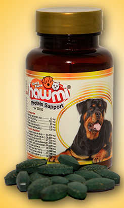 Protein Support for Dog