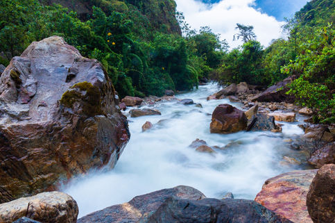 HZ6C5836 (Large).jpg