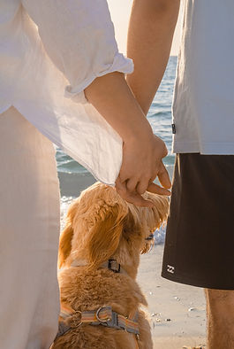 Couple and their pet at the beach at sunset.