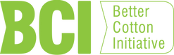 BCI-logo-large-1.png