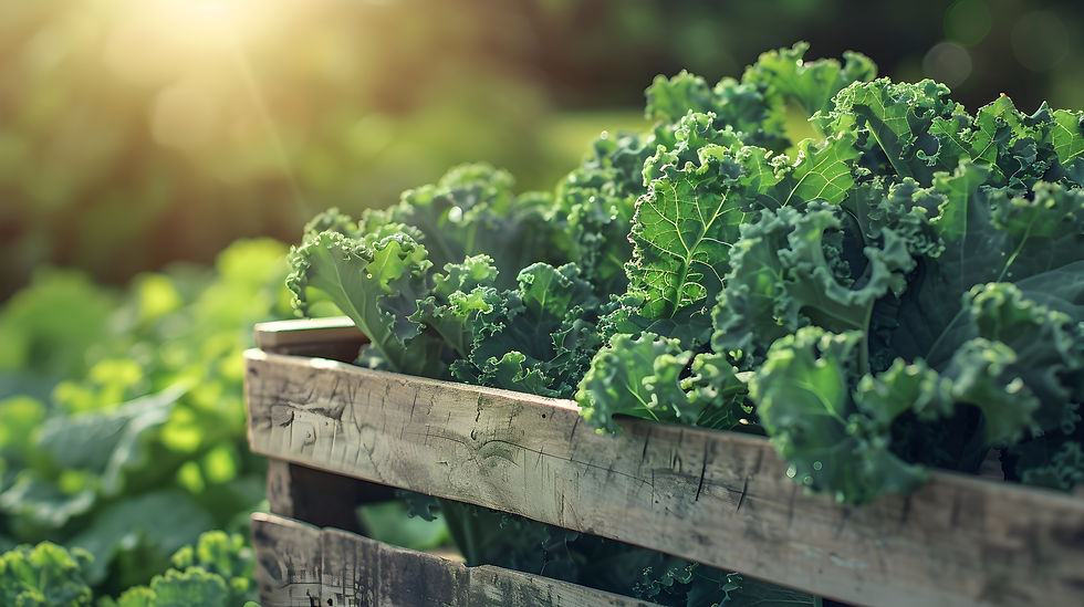 freshly-harvested-kale-leaves-showcasing-vibrant-green-color-crisp-texture-rustic-wooden.j