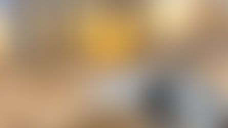 7. DE VERLOREN DAG UIT DE GESCHIEDENIS