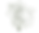 herbs green basil.png