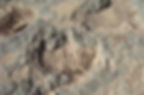 taghzouta04