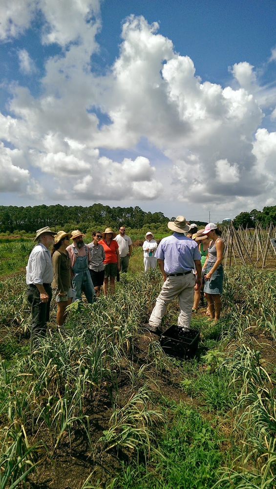 South Carolina Department of Agriculture to Host Farmers Market