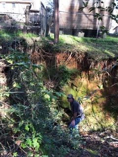 Cayce's Grand Canyon