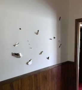 New Hope damage