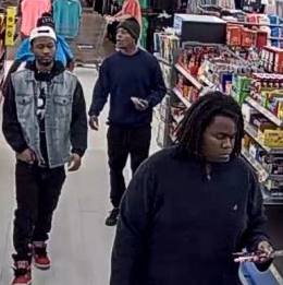 Credit Card Fraud