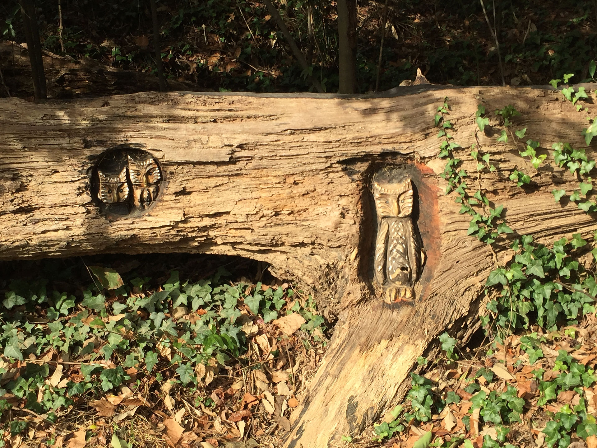 Tree carvings in Cayce