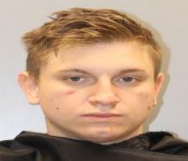 Irmo PD 3