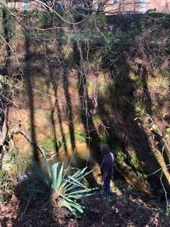 Cayce's Grand Canyon