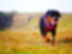 P1040254_edited.jpg