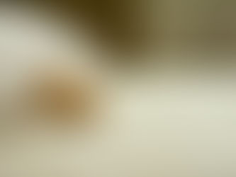 The Stylish Advantages of a Murphy Bed