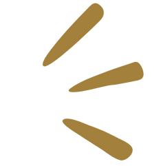 Methodology (16).png