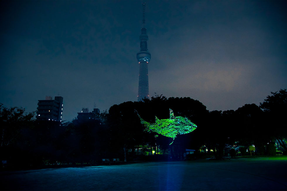 "aquatree" 2012. Installation view