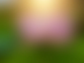 第70回 夏こそ冷えにご用心