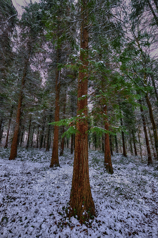DSCF8938.gif