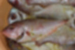Fisch für die Grillparty!