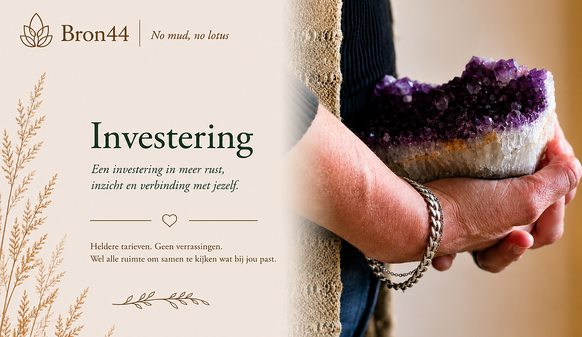 Header investeringen.png